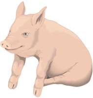 PIGLET.CMX