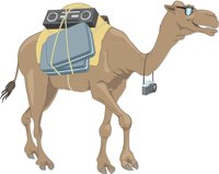 PCAMEL.CMX