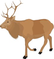 M_ELK.CMX