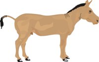 MULE.CMX