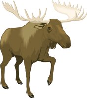MOOSE.CMX