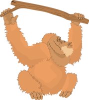MONKEY2.CMX
