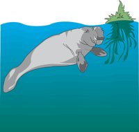 MANATEET.CMX