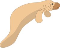 MANATEE.CMX