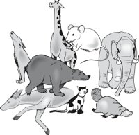 MAMMALS.CMX