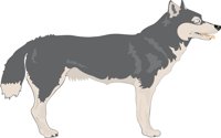 MALAMUTE.CMX
