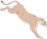 L_COUGAR.CMX