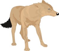 LONE_WLF.CMX