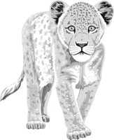 LIONCUB3.CMX
