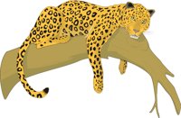 LEOPARD.CMX
