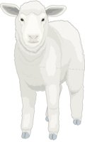 LAMBT.CMX