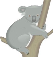 KOALA.CMX
