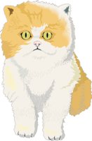 KITTEN.CMX