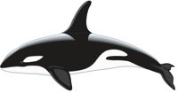 KILLWHAL.CMX