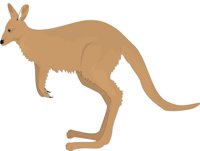 KANGAROO.CMX