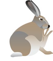 JKRABBIT.CMX
