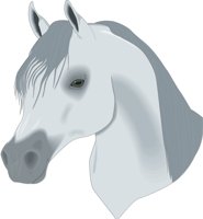 HRSEHEAD.CMX