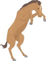 HORSEONH.CMX