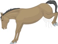HORSEKIC.CMX