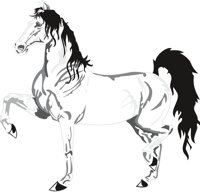 HORSE6.CMX