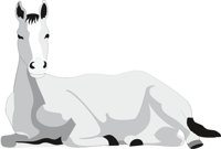 HORSE3.CMX