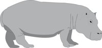 HIPPO.CMX