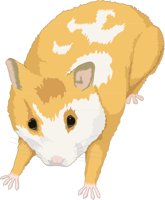 HAMSTER.CMX