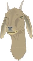 GOATFACE.CMX