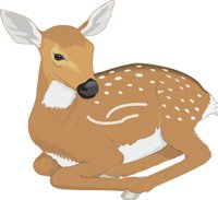 FAWN.CMX
