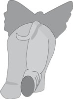 ELEPHANI.CMX