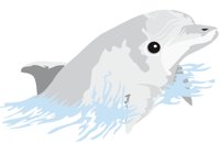 DOLPHIN3.CMX