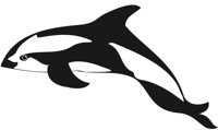 DOLPHIN1.CMX