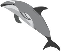 DOLPHIN.CMX