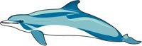 DOLPHBOT.CMX