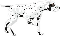 DOG07.CMX