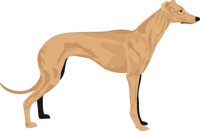 DOG05.CMX