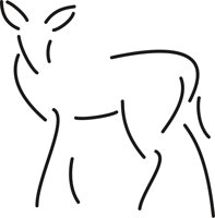 DEER_I.CMX