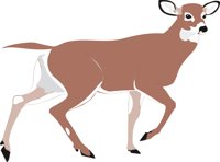 DEER3.CMX