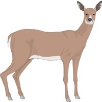 DEER.CMX