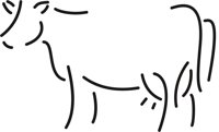 COW.CMX