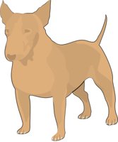 CORGI_C.CMX
