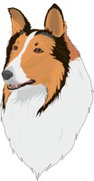 COLLIE.CMX