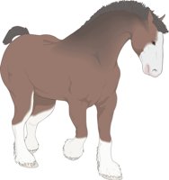 CLYDESDA.CMX