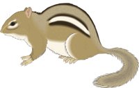 CHIPMUNT.CMX