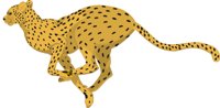 CHEETAH.CMX