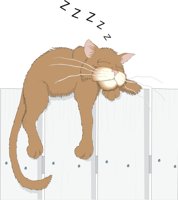 CATFENCE.CMX