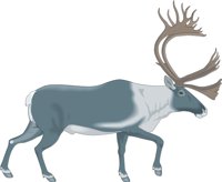 CARIBOU2.CMX