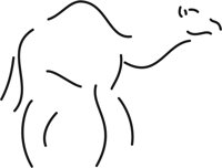 CAMEL_I.CMX