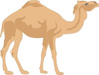 CAMEL4.CMX