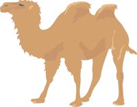 CAMEL3.CMX